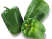 PIMIENTO LAMUYO VERDE